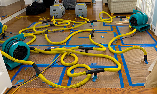 Professional Water Damage Restoration technician working in North Canton, OH